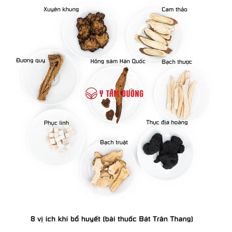 8 vị ích khí bổ huyết (Bát Trân Thang):